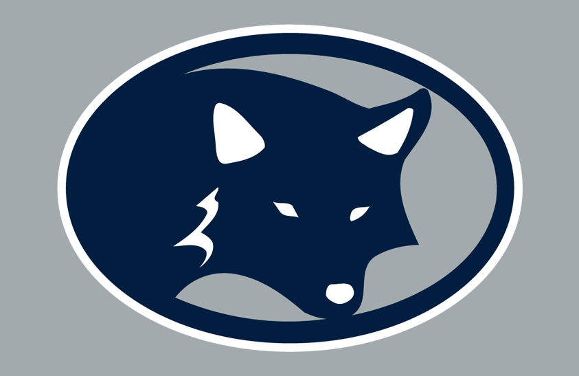 Nevada Wolf Pack 2001 Helmet Logo diy iron on heat transfer